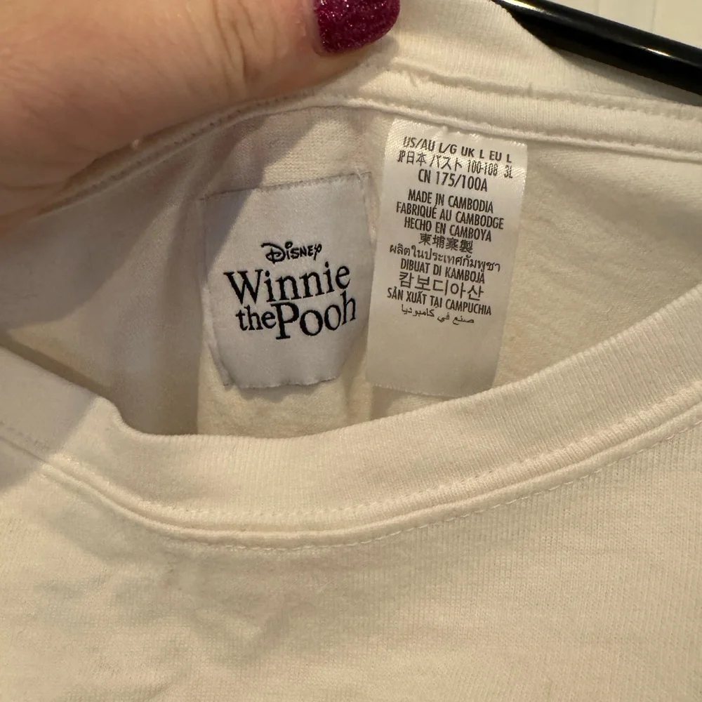 Disneyland Winnie the Pooh Cropped Graphic Tee – Size Large